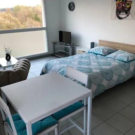 Studio Meuble Confortable Apartment